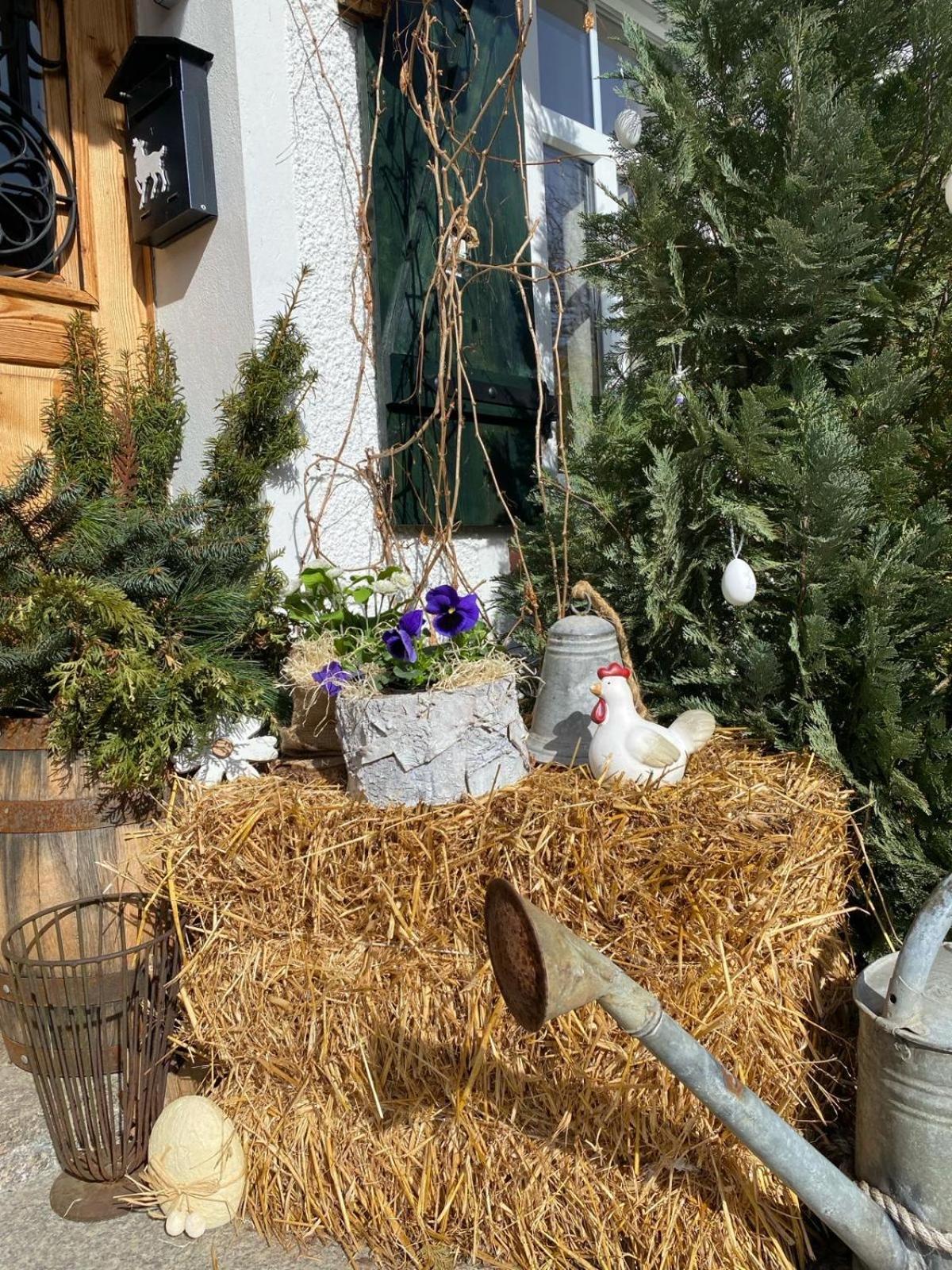Apartamenty Sudeckie Nad Zalewem I Sosnówka Exterior foto