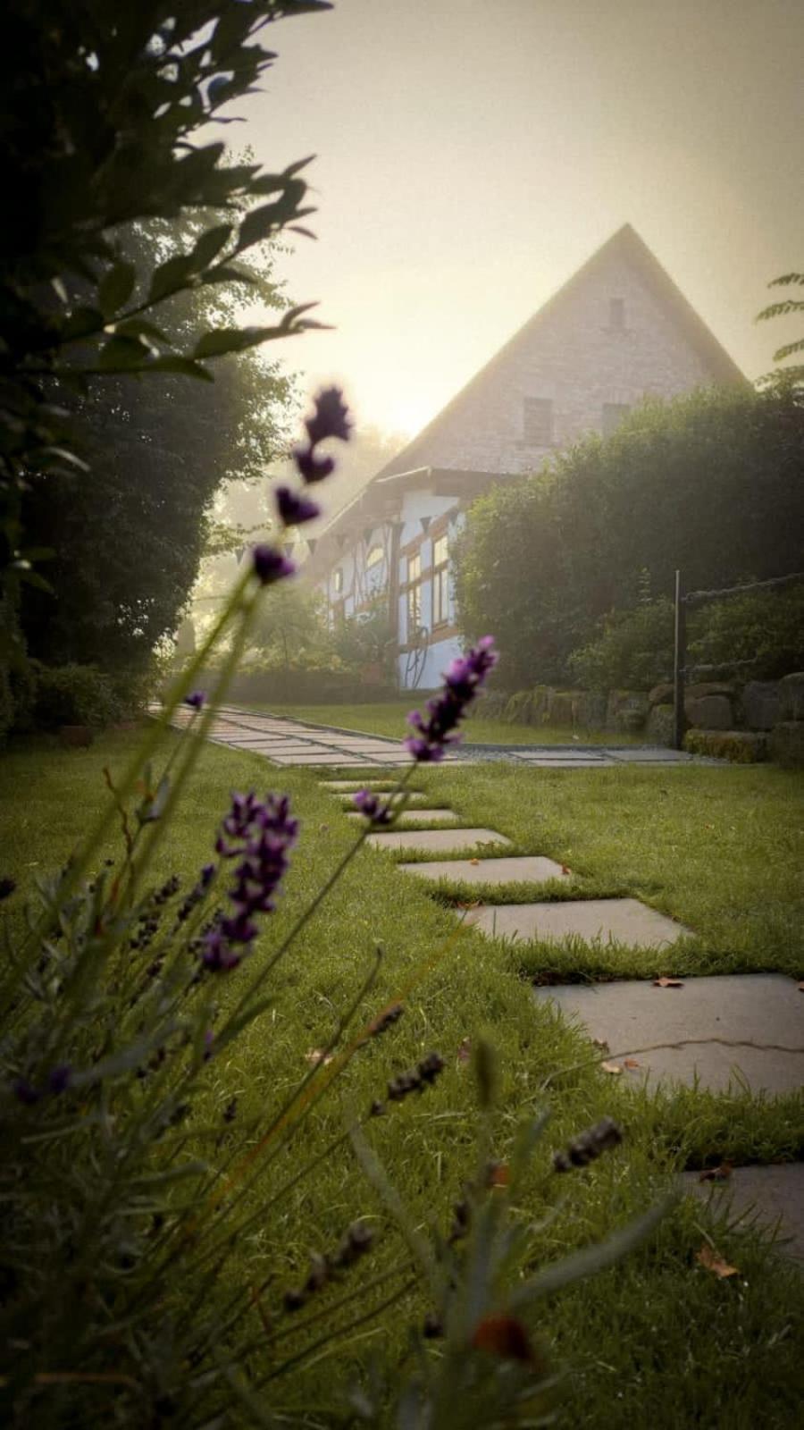 Apartamenty Sudeckie Nad Zalewem I Sosnówka Exterior foto